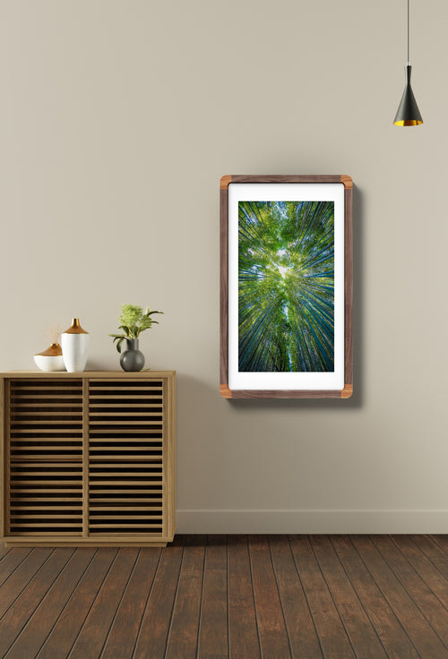 Bamboo Forest (Kyoto 10mm)